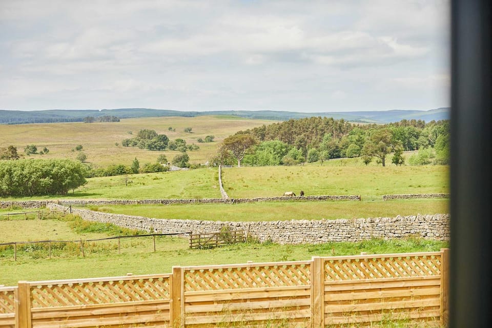Natural landscape