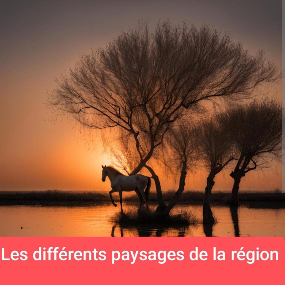 MONTPELLIER ET SES PLAGES van de couchage pour dépanner quelques nuits juste pour dormir il n'y a pas de sanitaire ni cuisine prévoir une batterie externe,à 10 minutes en voiture des PLAGES et à 5 minutes du centre-ville Montpellier Luxury tent in Castelnau-le-Lez