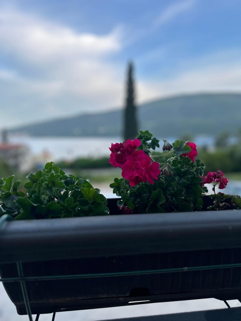View (from property/room), Balcony/Terrace