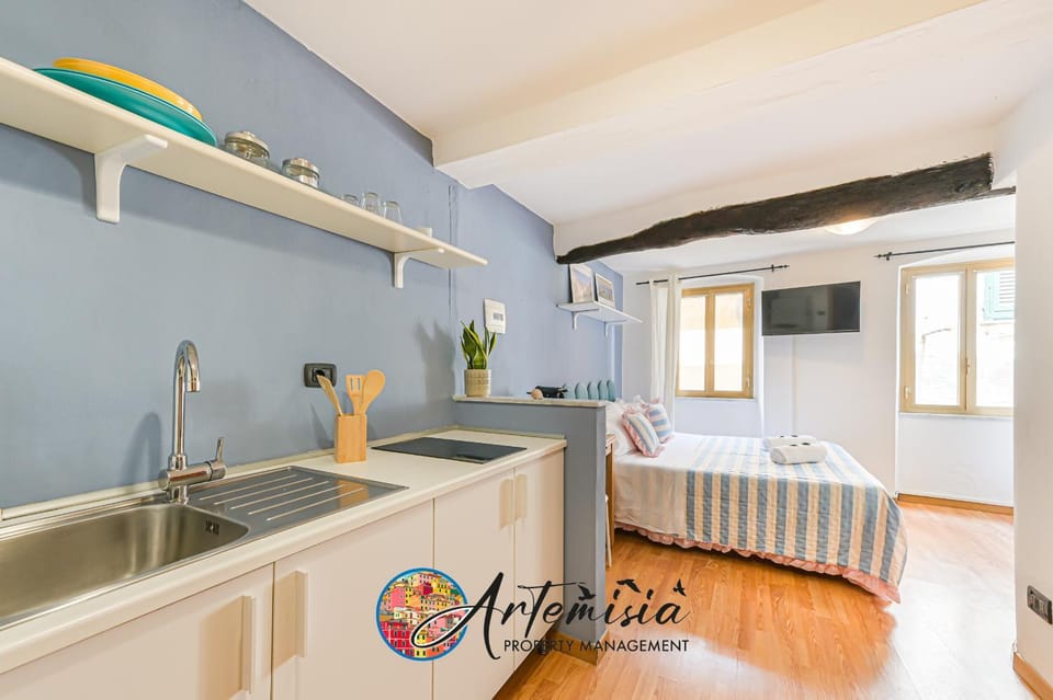 Artemisia apartments Apartment in Riomaggiore
