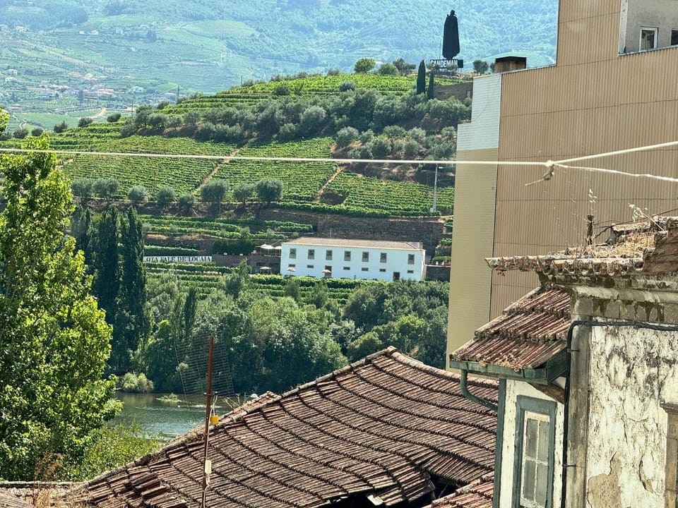 View (from property/room), River view