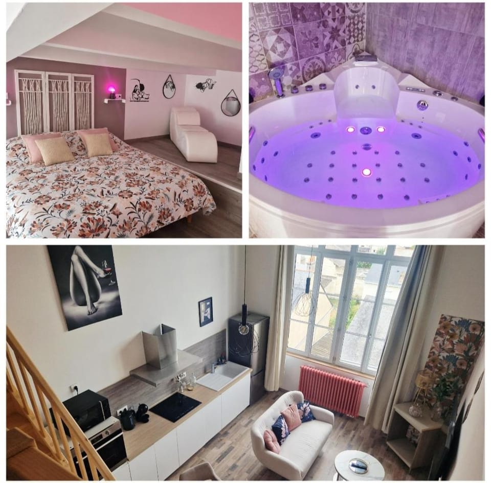 Le secret show Apartment in Saumur