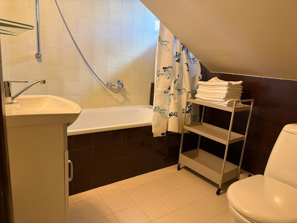 Toilet, Bathroom, Bath, towels
