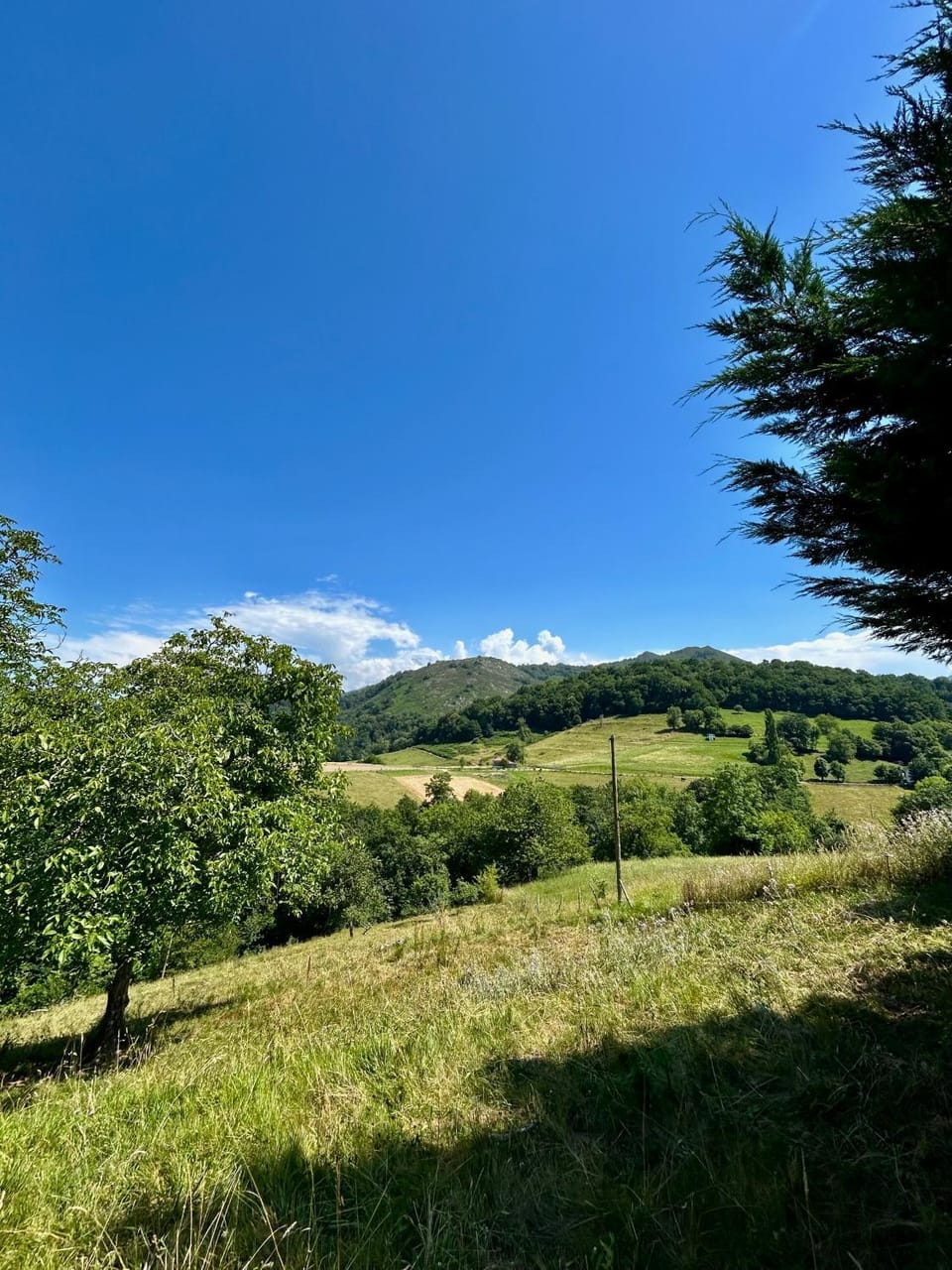 Natural landscape