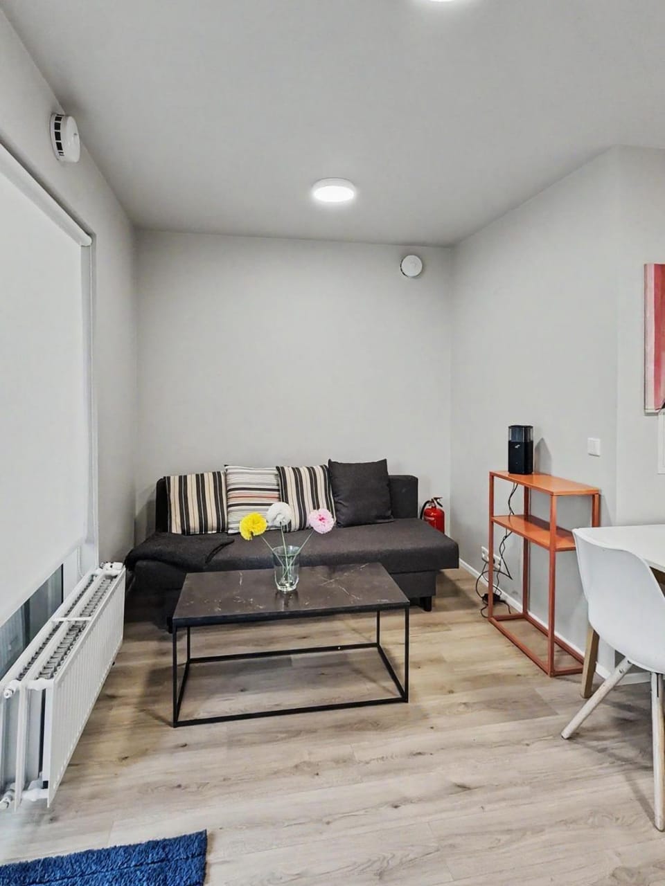 Spacious Downtown Reykjavik Apartment & Walk Everywhere Apartment in Reykjavik