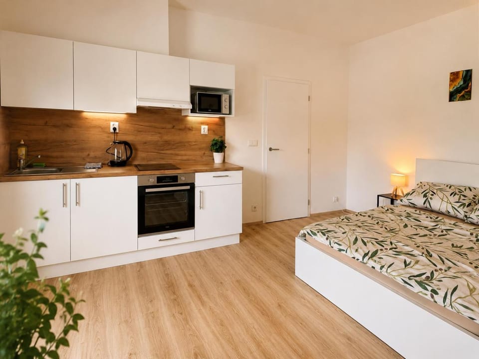 Kitchen or kitchenette, Bedroom