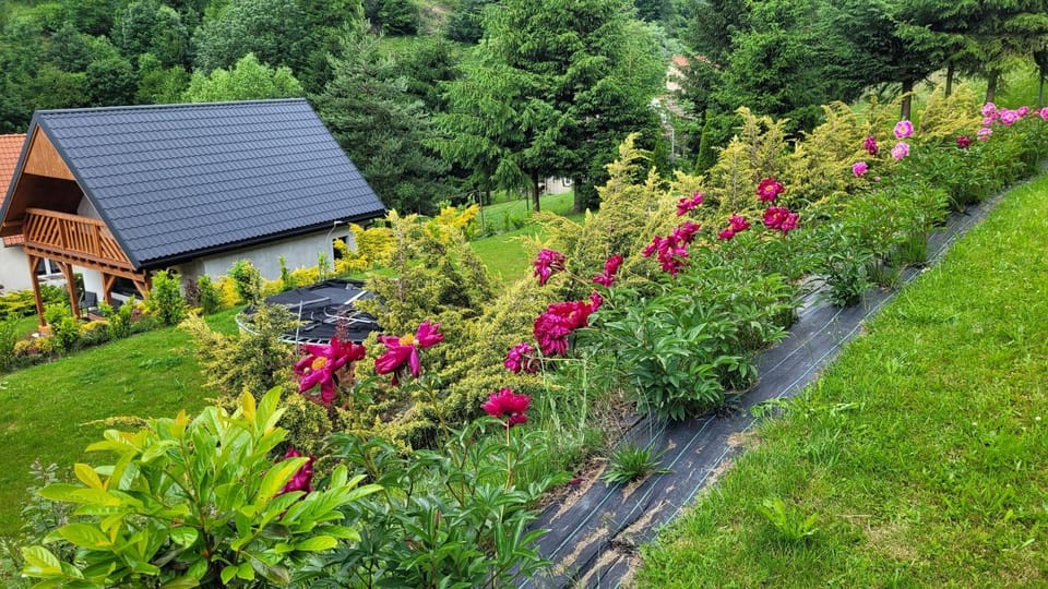 Property building, Garden