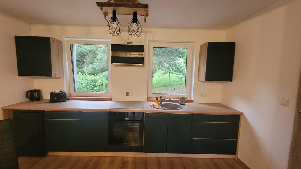 Kitchen or kitchenette, kitchen