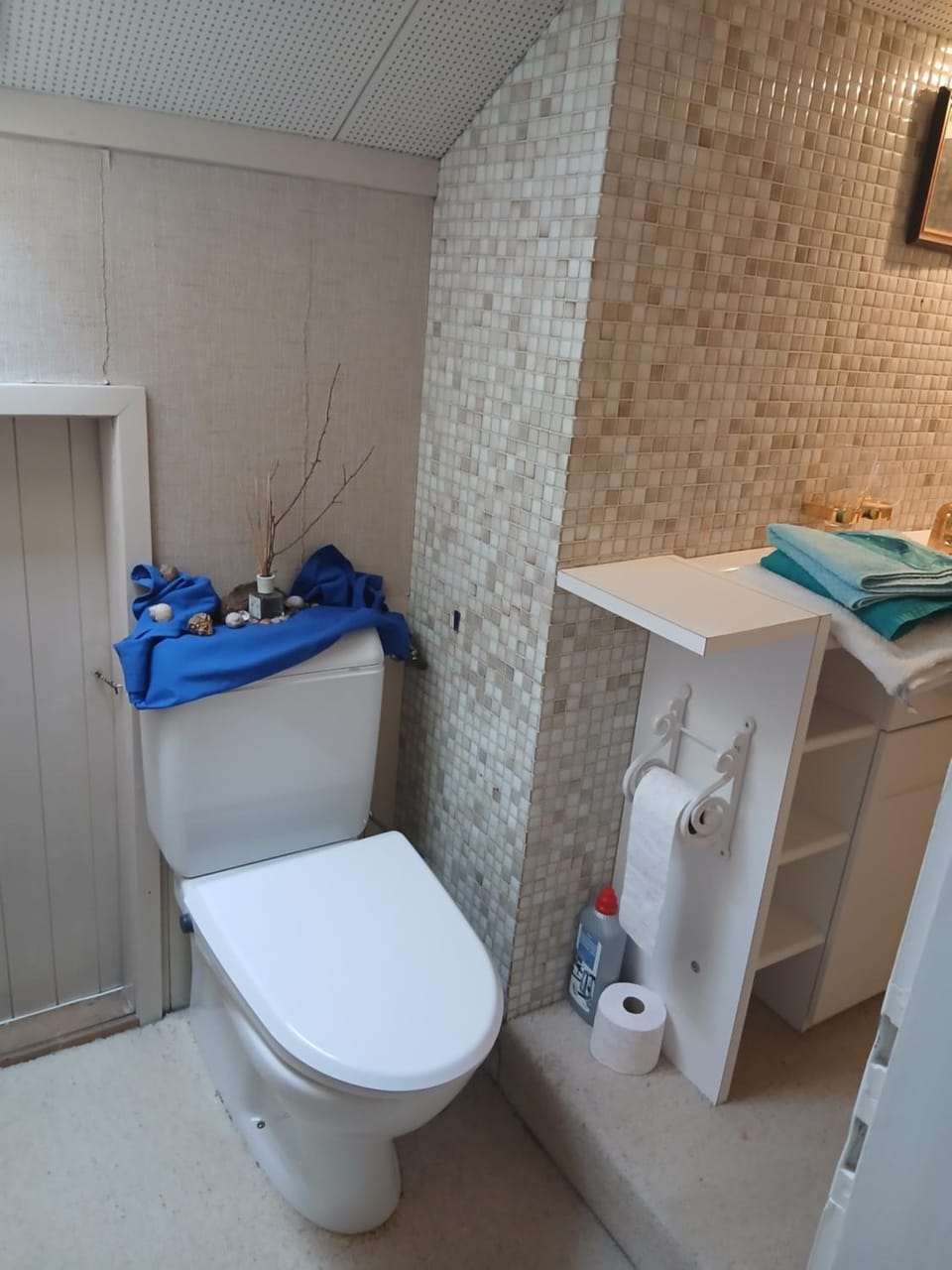 Toilet, Bathroom, towels