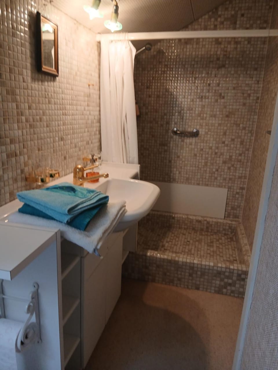 Shower, Toilet, Bathroom, Bath, towels