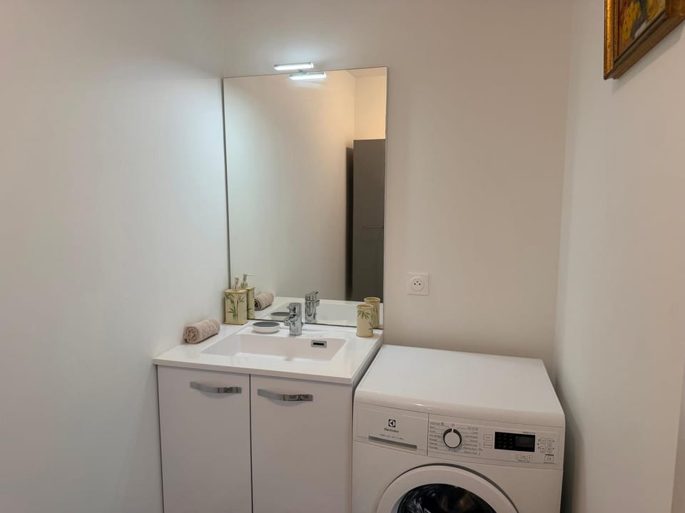 Shower, washing machine, washing machine