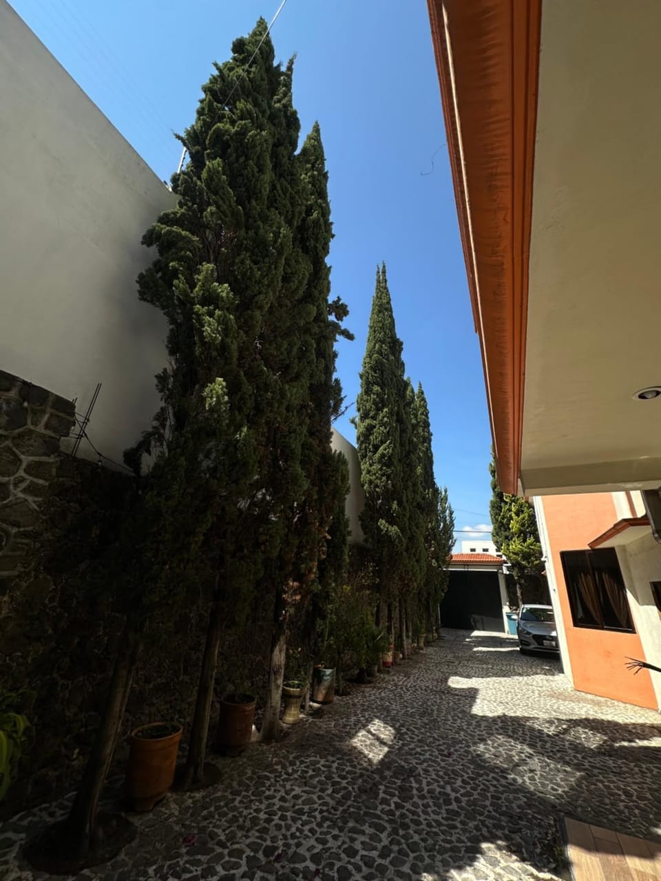Hotel Galería Mediterráneo Hotel in State of Puebla