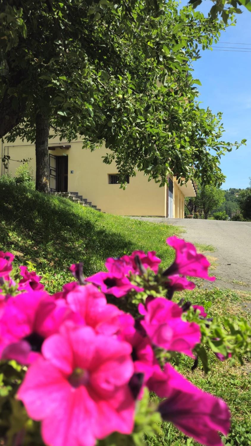 Nonna Marisa B&B Bed and Breakfast in Emilia-Romagna