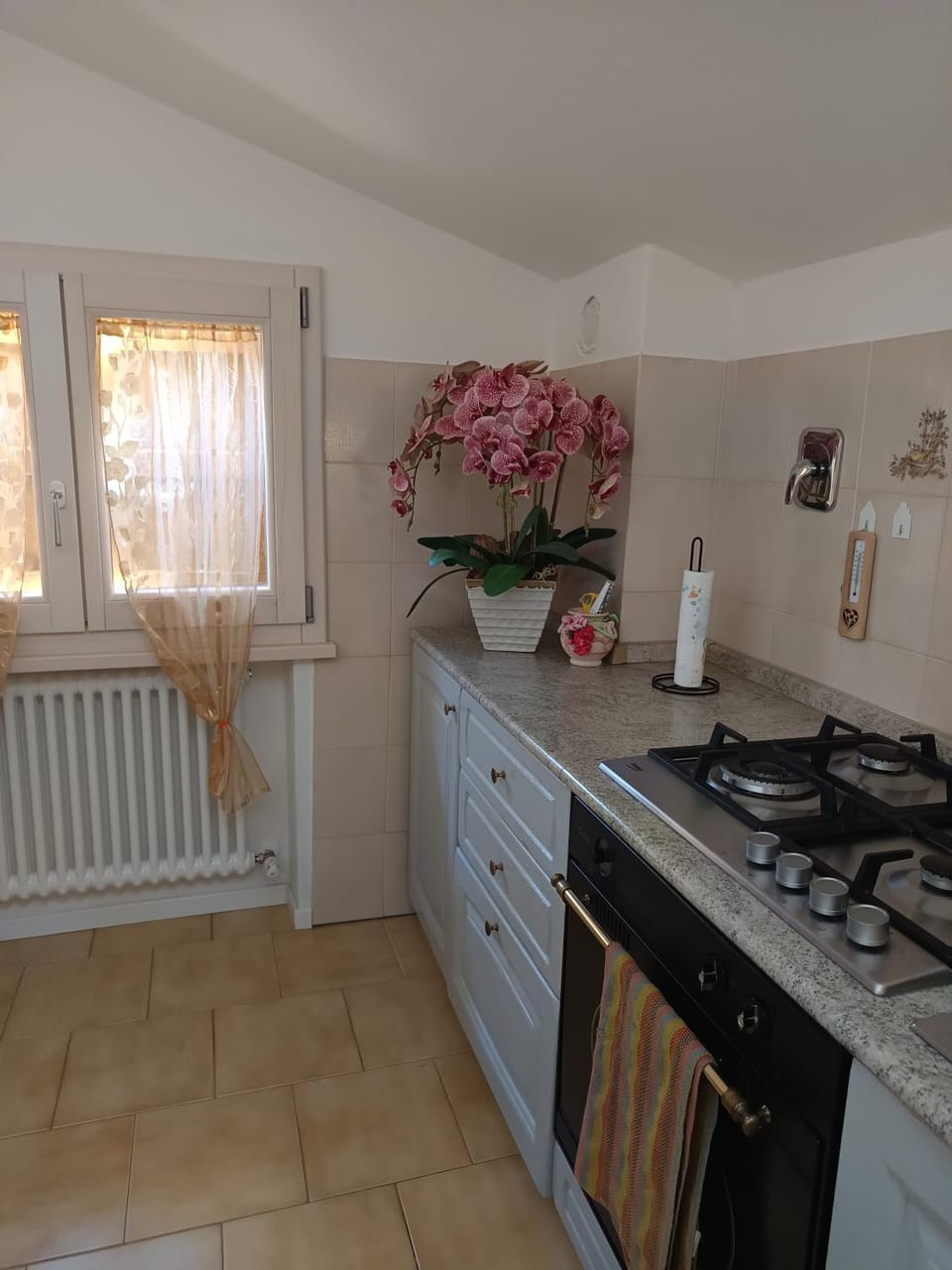 Nonna Marisa B&B Bed and Breakfast in Emilia-Romagna