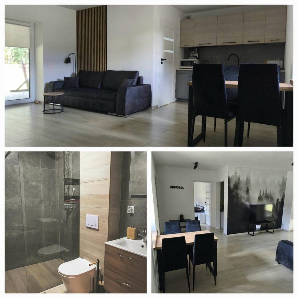 Bathroom, Kitchen or kitchenette, Living room, Seating area, Dining area