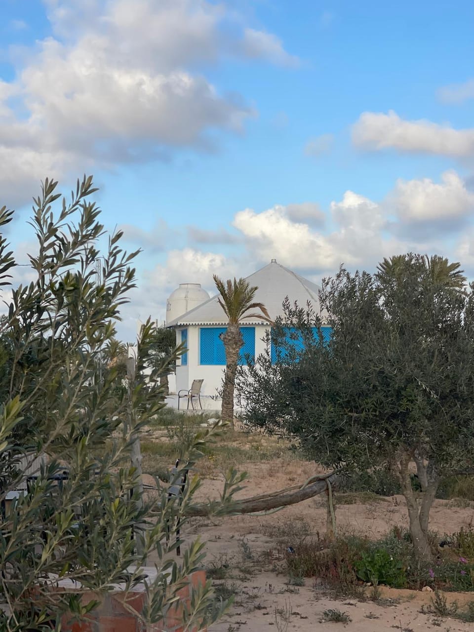 Bungalow de l olivier Villa in Tunisia