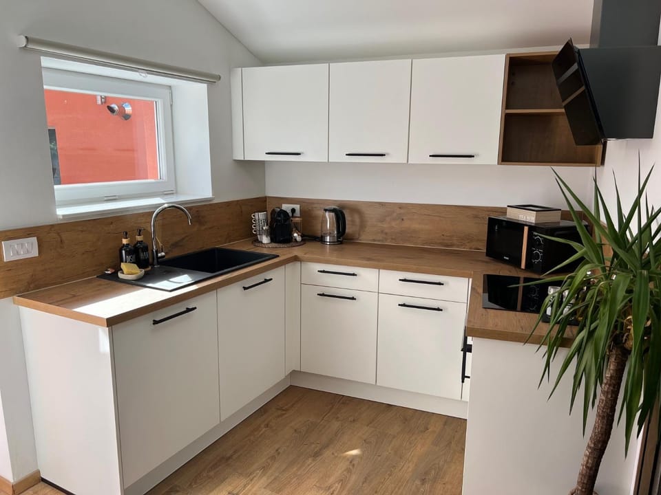 Kitchen or kitchenette, dishwasher, stove