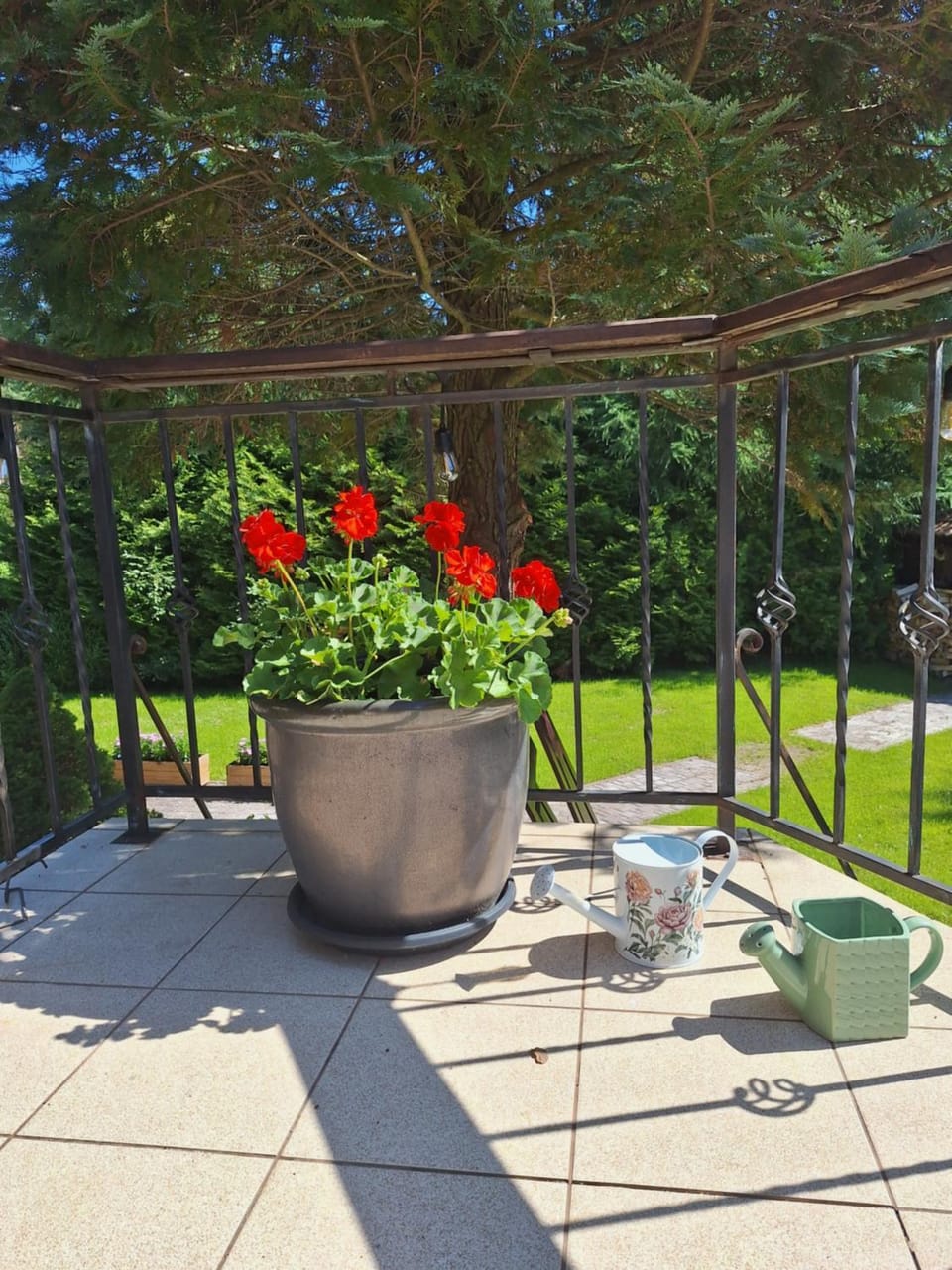 Patio, Spring, Day, Garden, Garden view