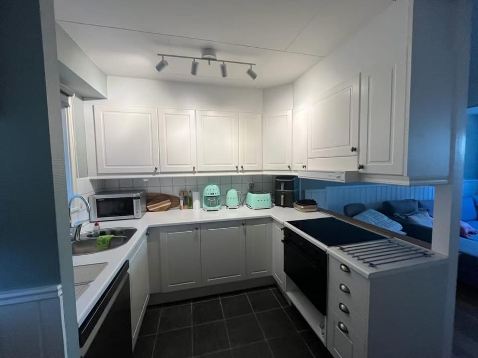 dishwasher, microwave, oven, stove, kitchen