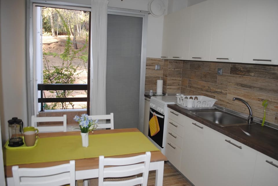 Daniil's Seafront Apartment Apartment in Halkidiki