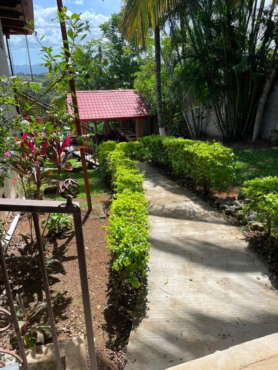 Day, Natural landscape, Garden view