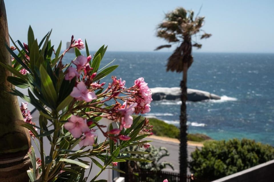 Boho Ocean View Villa Pool & Walk to Beach Villa in Cape Town