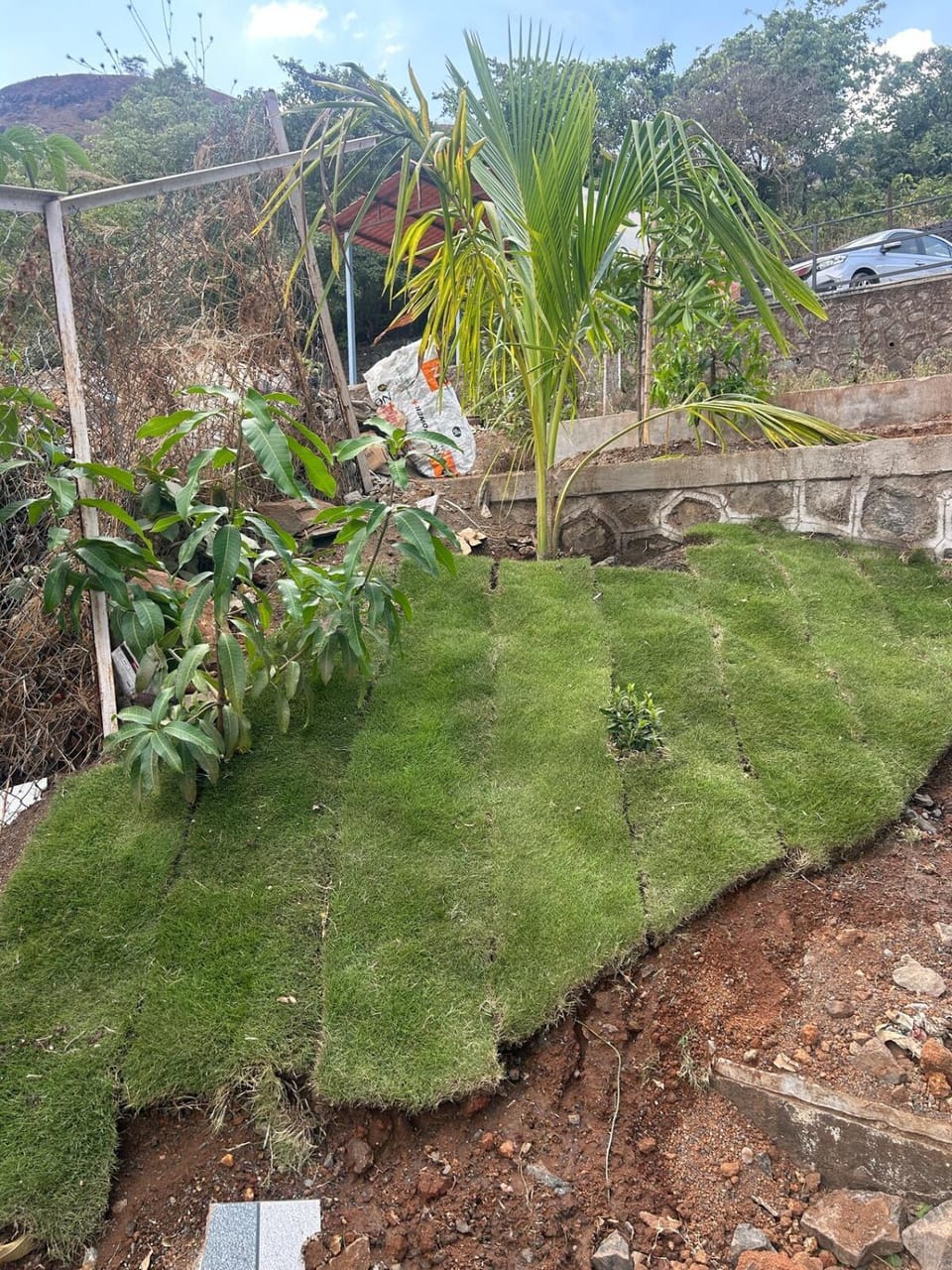 Garden