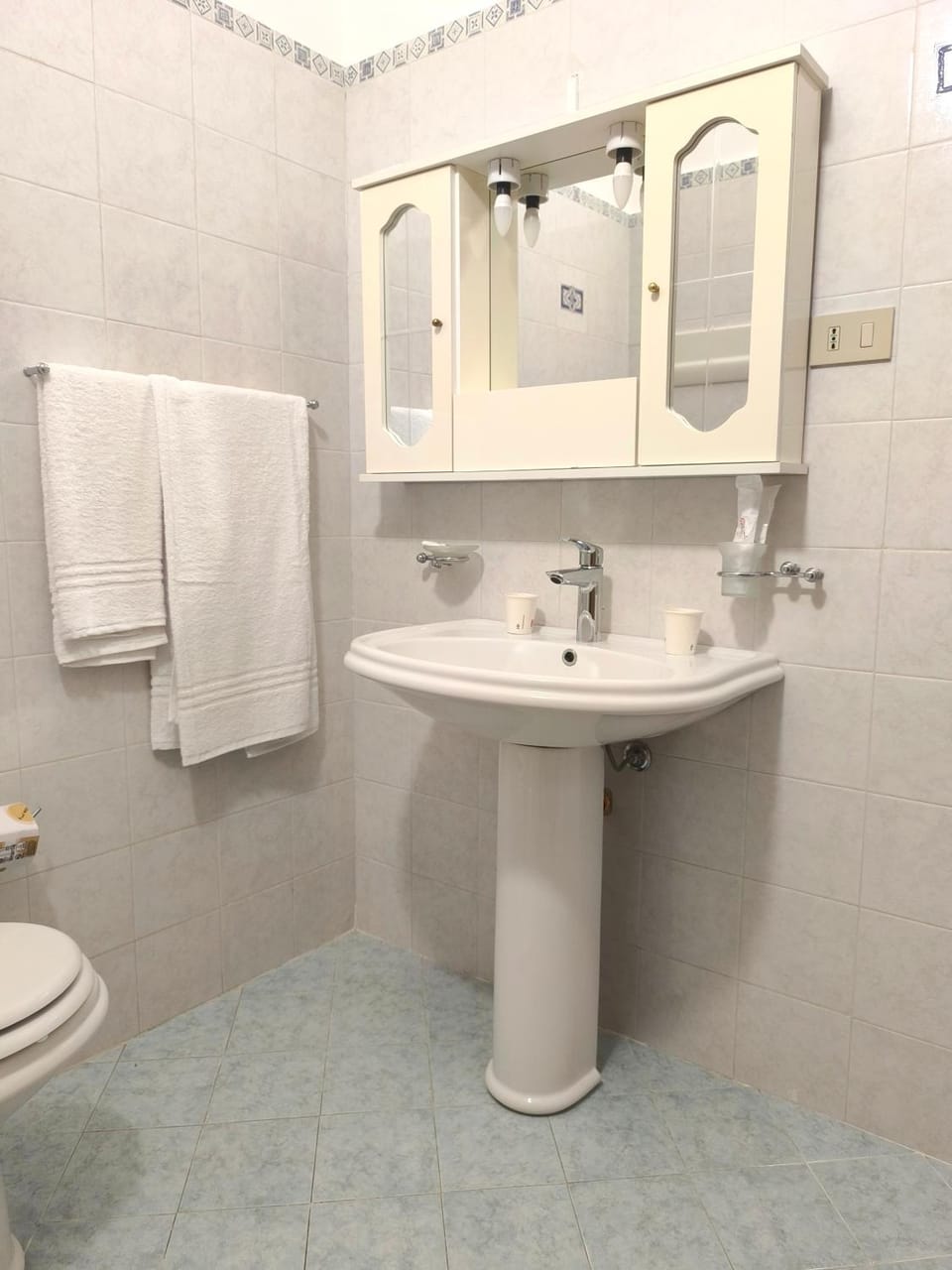 Shower, Toilet, Bathroom, towels