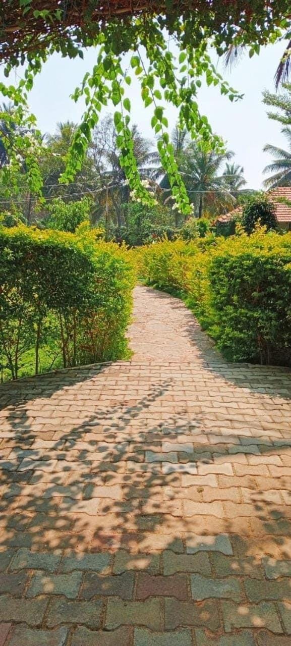 Greenline Farm Stays Chanapatna with swimming pool Farm Stay in Karnataka