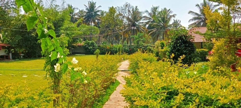 Greenline Farm Stays Chanapatna with swimming pool Farm Stay in Karnataka