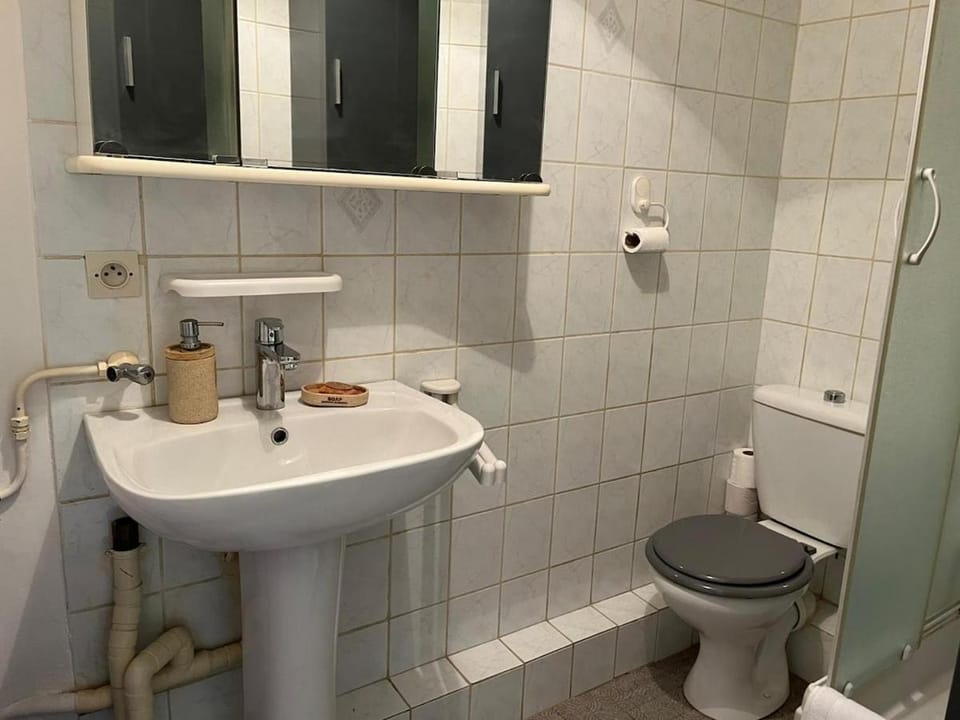 Apartment near Paris-Disney-Vaux le Vicomte Apartment in Île-de-France