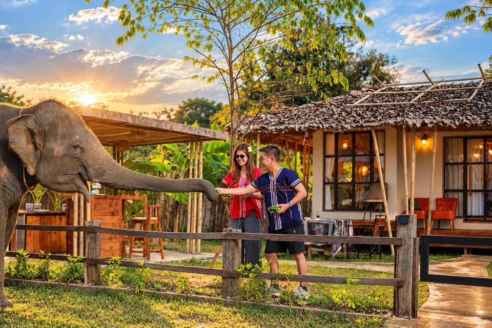 Kokongfai elephants camp Luxury tent in Thailand