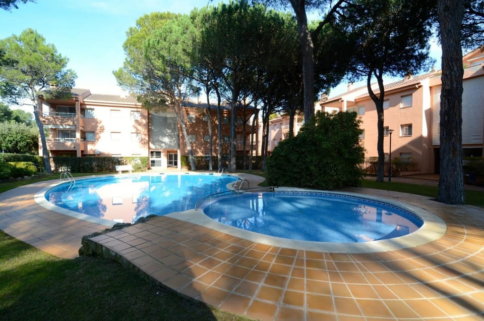 Patio, Garden, Garden view