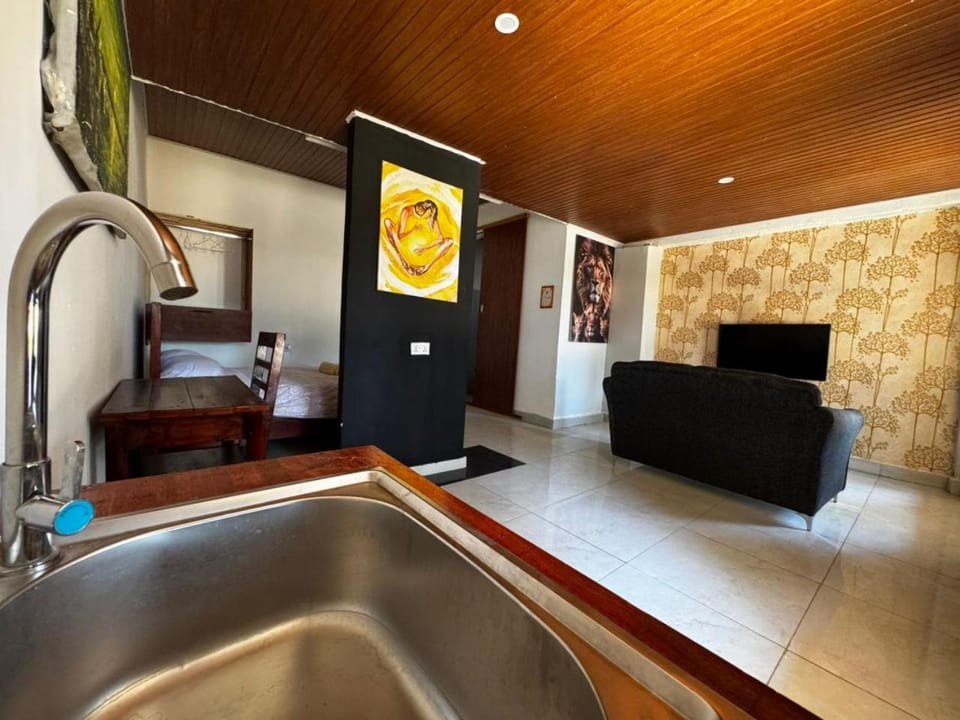 Bed, Bathroom, Kitchen or kitchenette, Living room, Photo of the whole room, Seating area, Bedroom