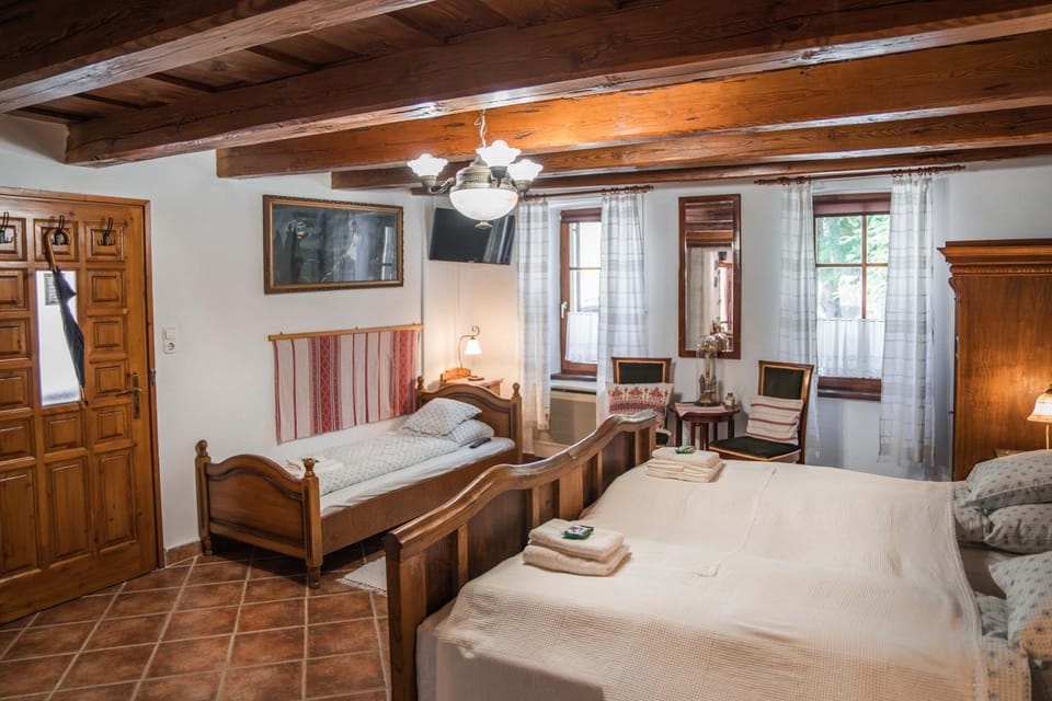 Authentic Country House with Large Garden House in Hungary