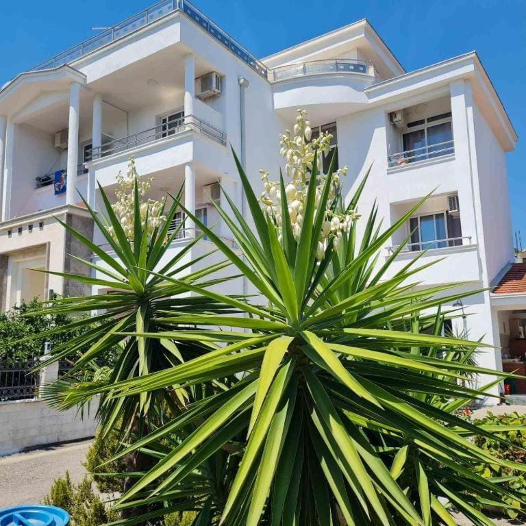 Apartments Luna Apartment in Ulcinj Municipality