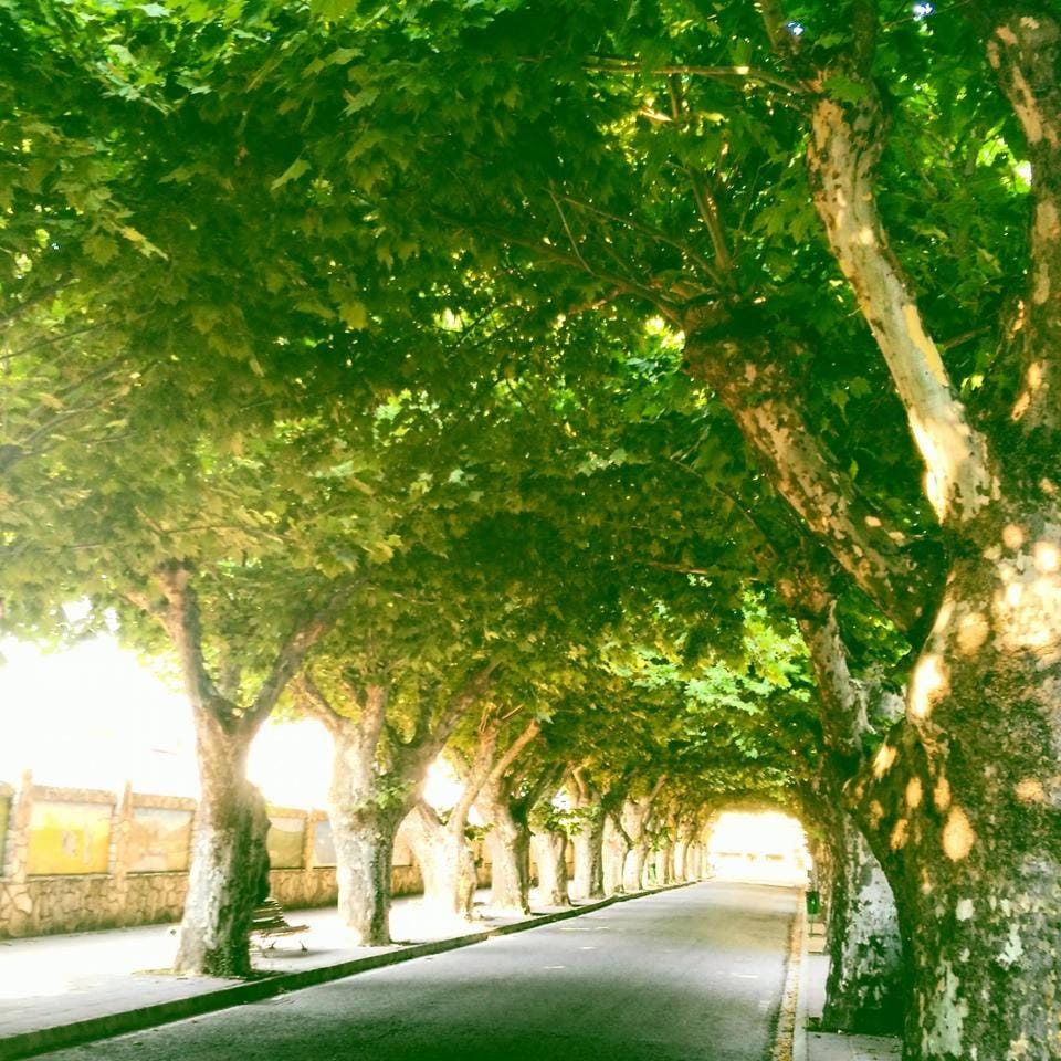 Nearby landmark, Neighbourhood