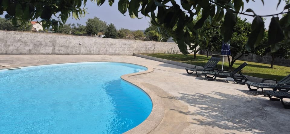 Green-house House in Viana do Castelo District