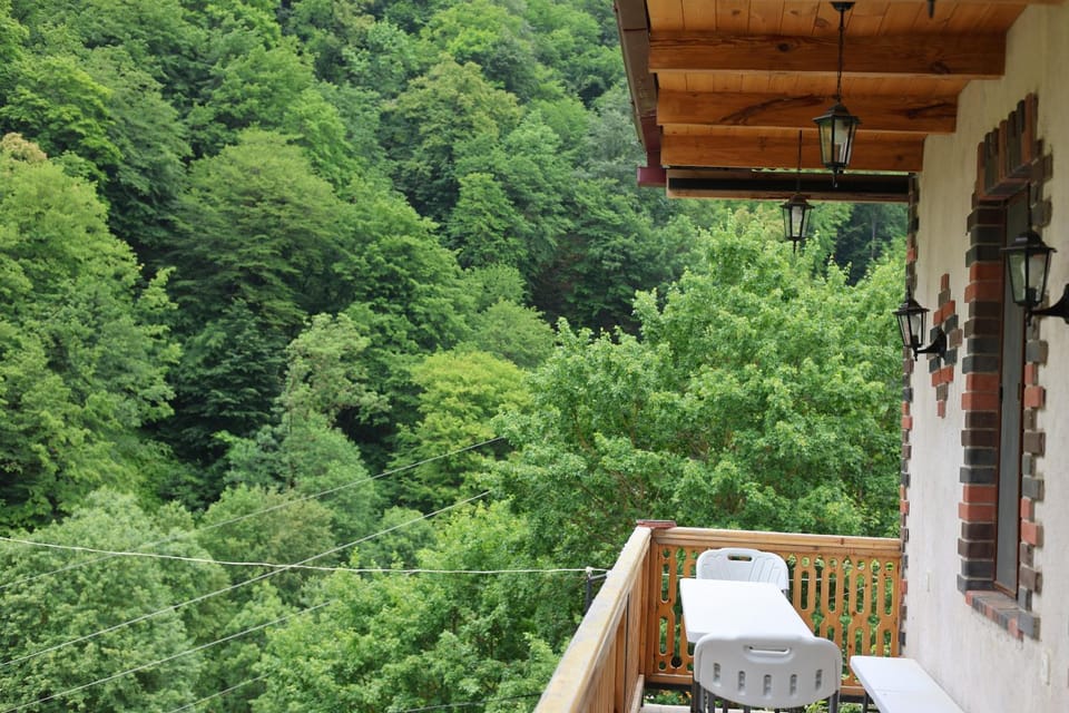 Garden, Balcony/Terrace