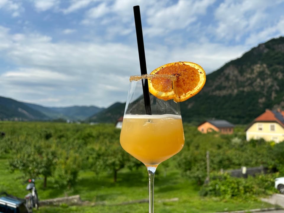 Gasthof zur Venus by Mistelbauer Hotel in Austria