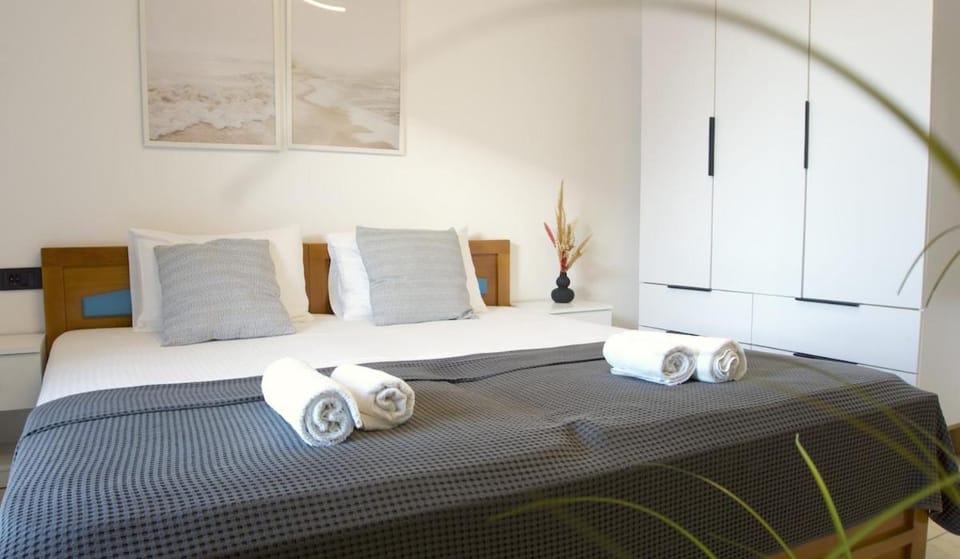 Ground Floor Studio at Xenios Avlais Apartment in Alikanas