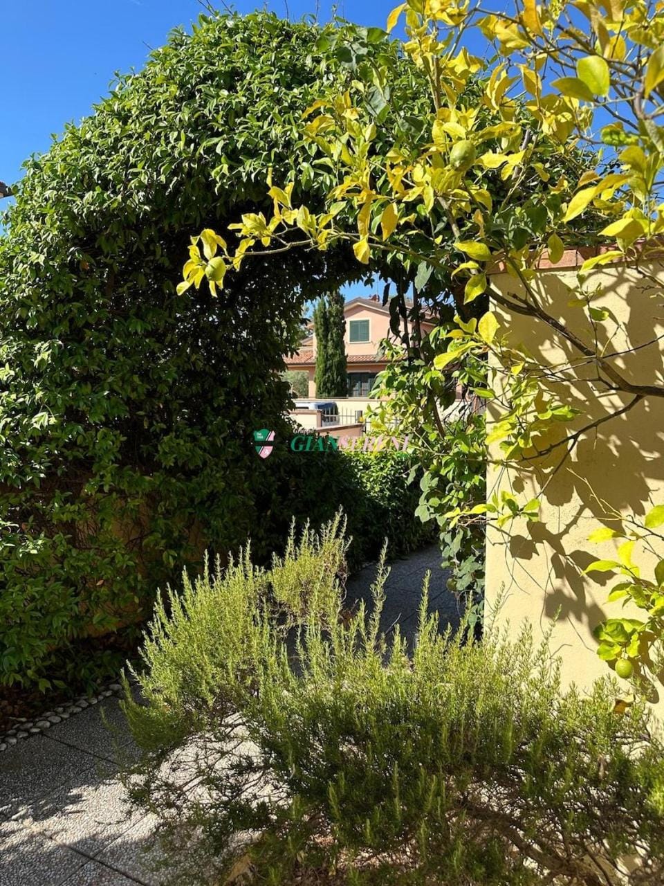 Property building, Garden