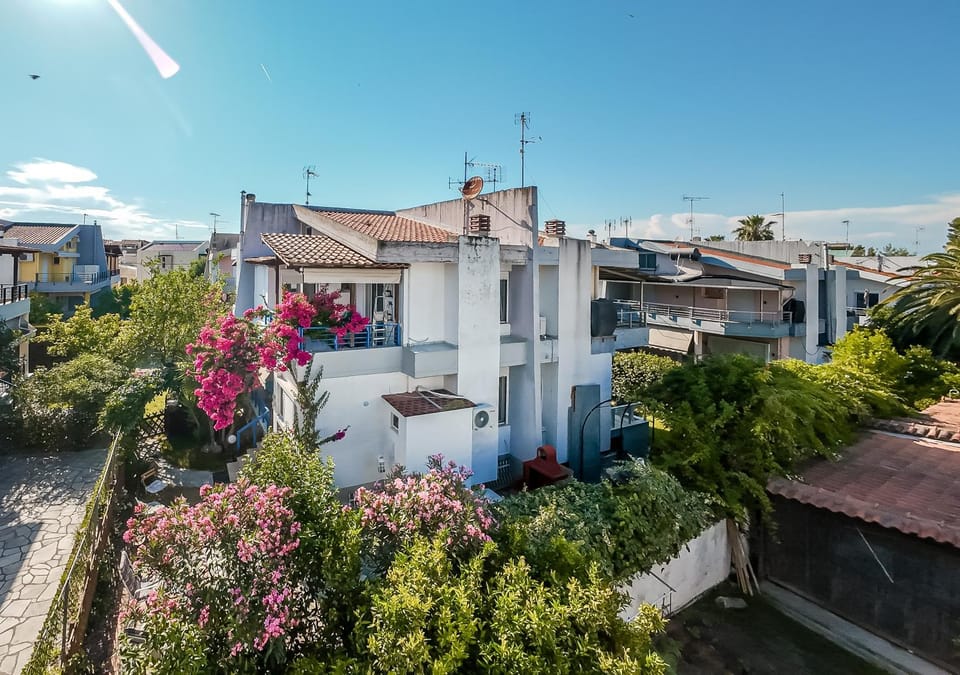 Property building, Neighbourhood, Garden