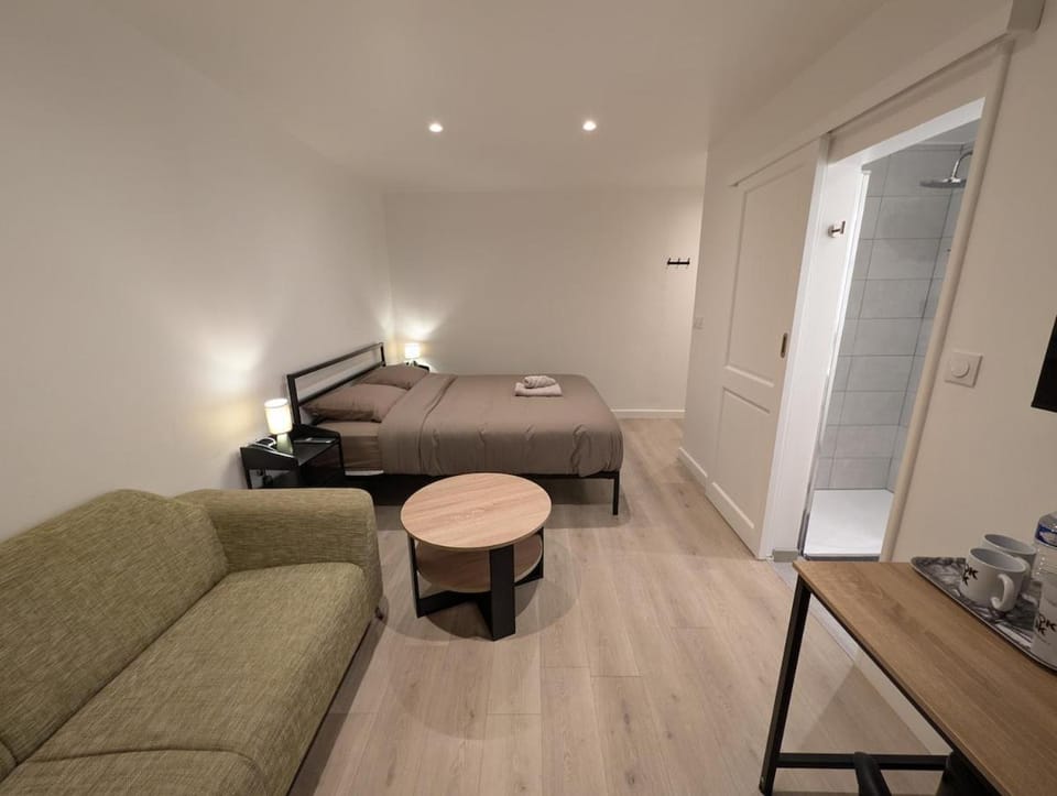 Chambre King, Salle de Bain Privative, Tok-Tok Apartment in Lille