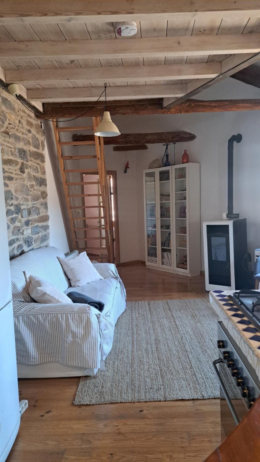 Cosy Attic with terrace, walking distance to lake Apartment in Pallars Jussà