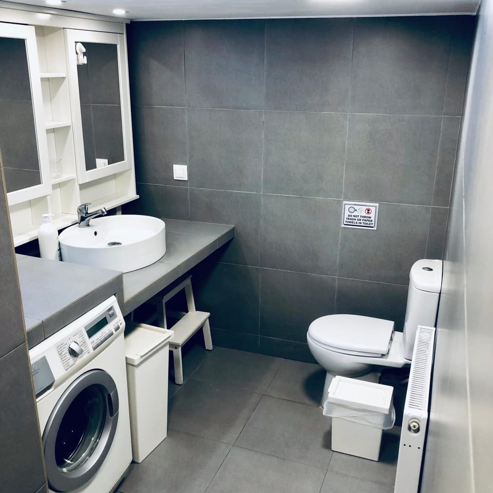 Toilet, Bathroom, bidet, towels, washing machine