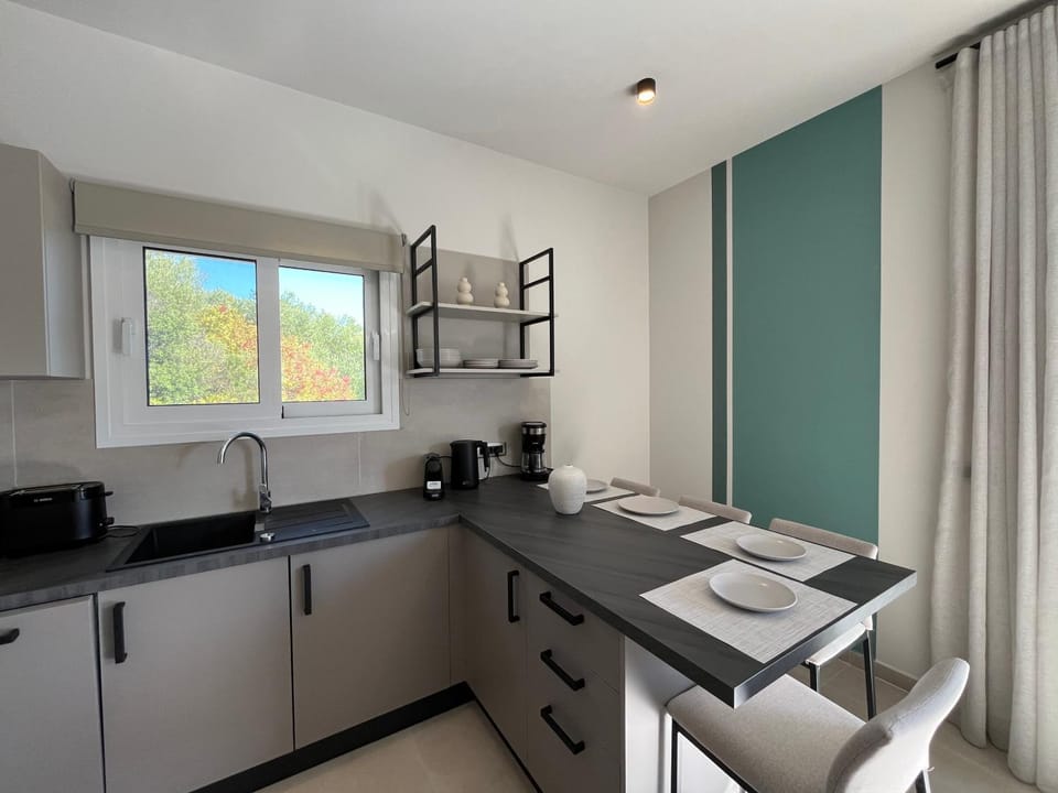 Kitchen or kitchenette, Dining area, stove