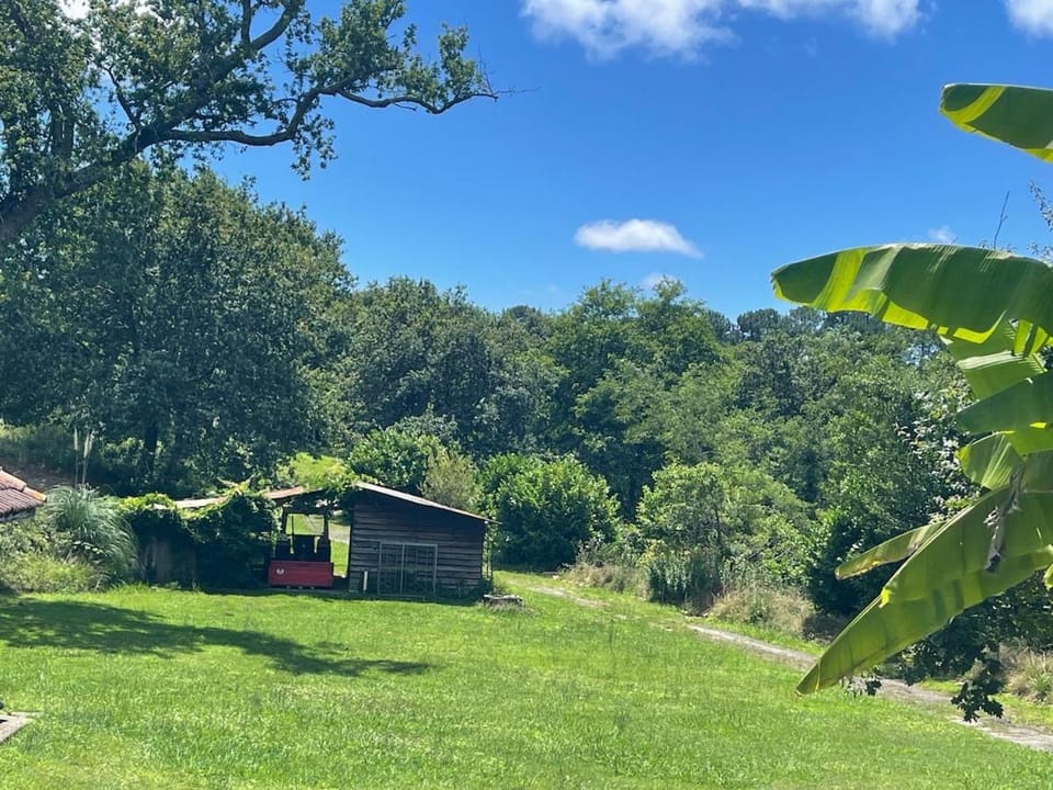 Lodge en pleine nature Villa in Nouvelle-Aquitaine