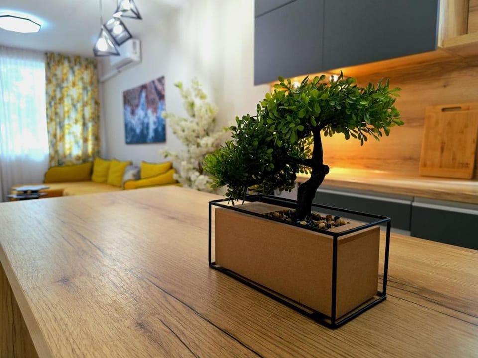 Three-room apartment in the center of Varna Apartment in Varna