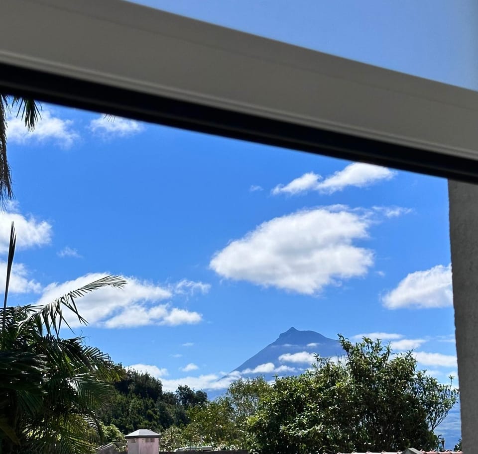 UpTown Apartments Apartment in Azores District